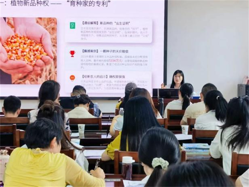 图片 4.jpg
